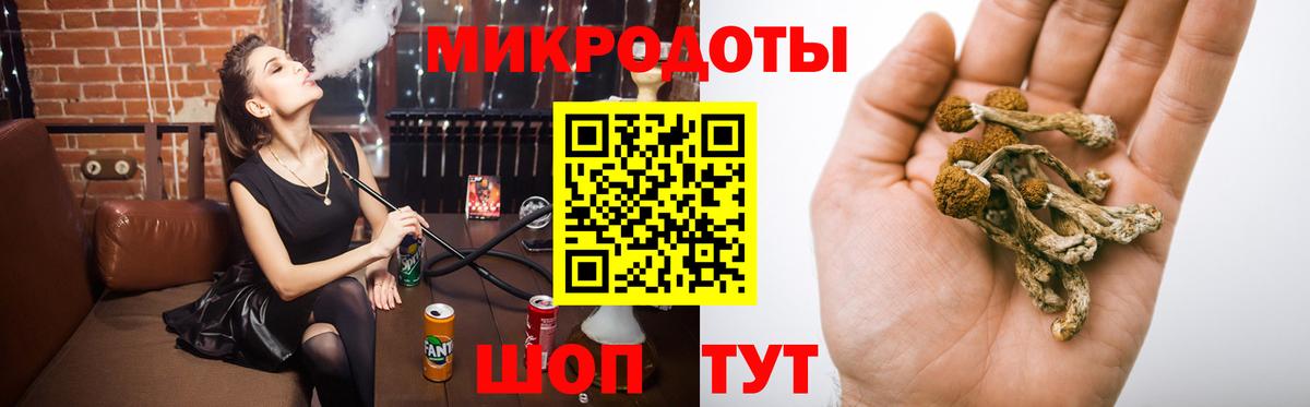 Галлюциногенные грибы Psilocybine cubensis  Вход с VPN  Можга 