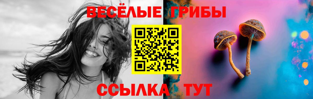 Галлюциногенные грибы ЛСД Можга