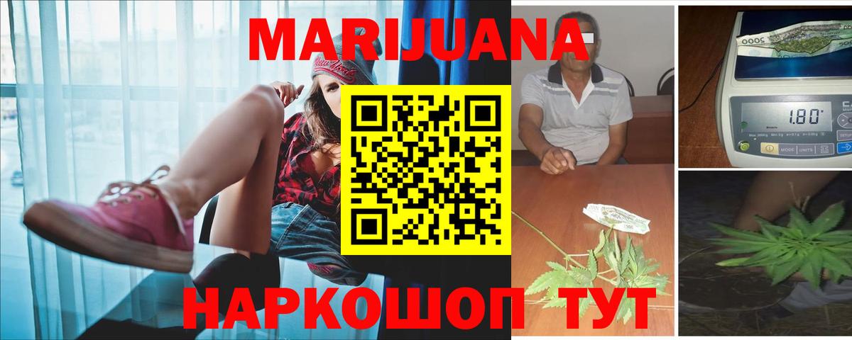 Каннабис SATIVA & INDICA  Конопля план  Каннабис Bruce Banner  Вход с VPN  Можга 